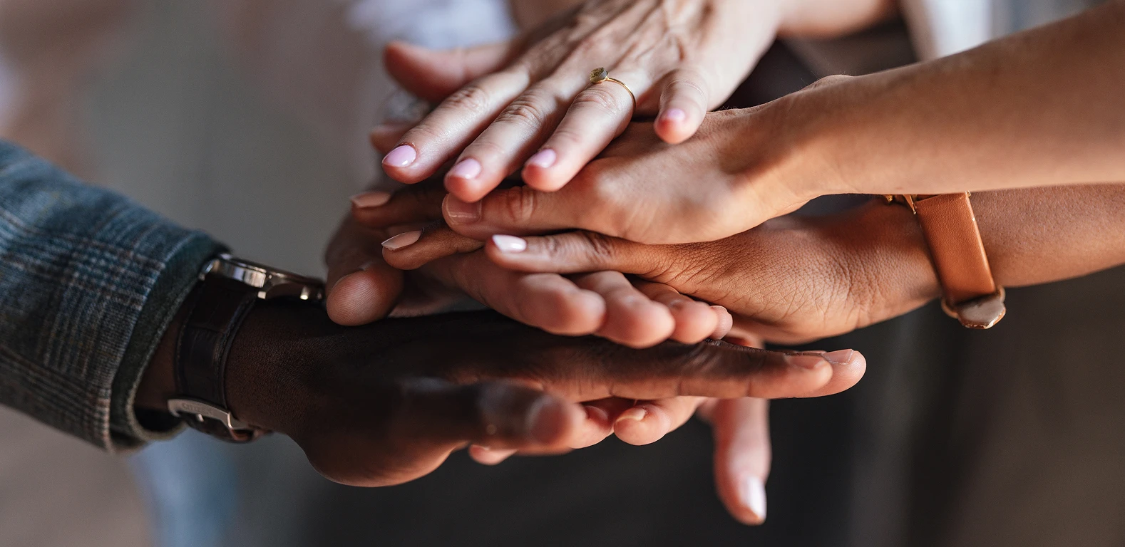 Meet The Team Hero Image